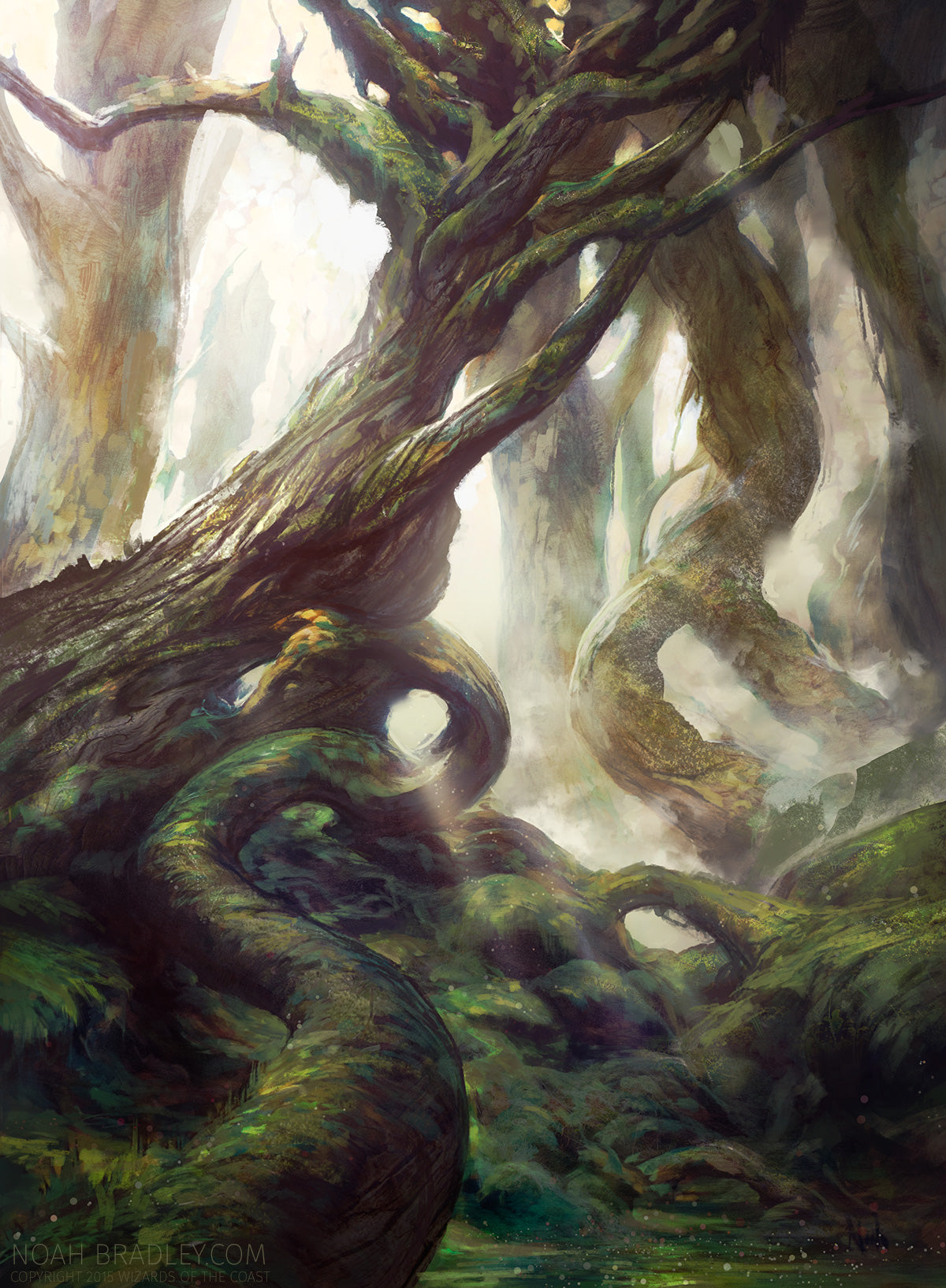 Forest