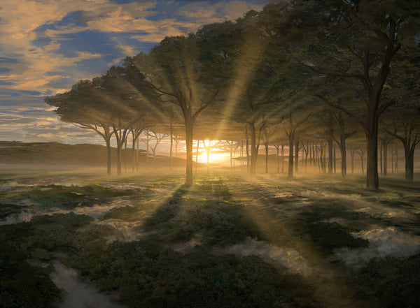 Noah-Bradley_Horizon-