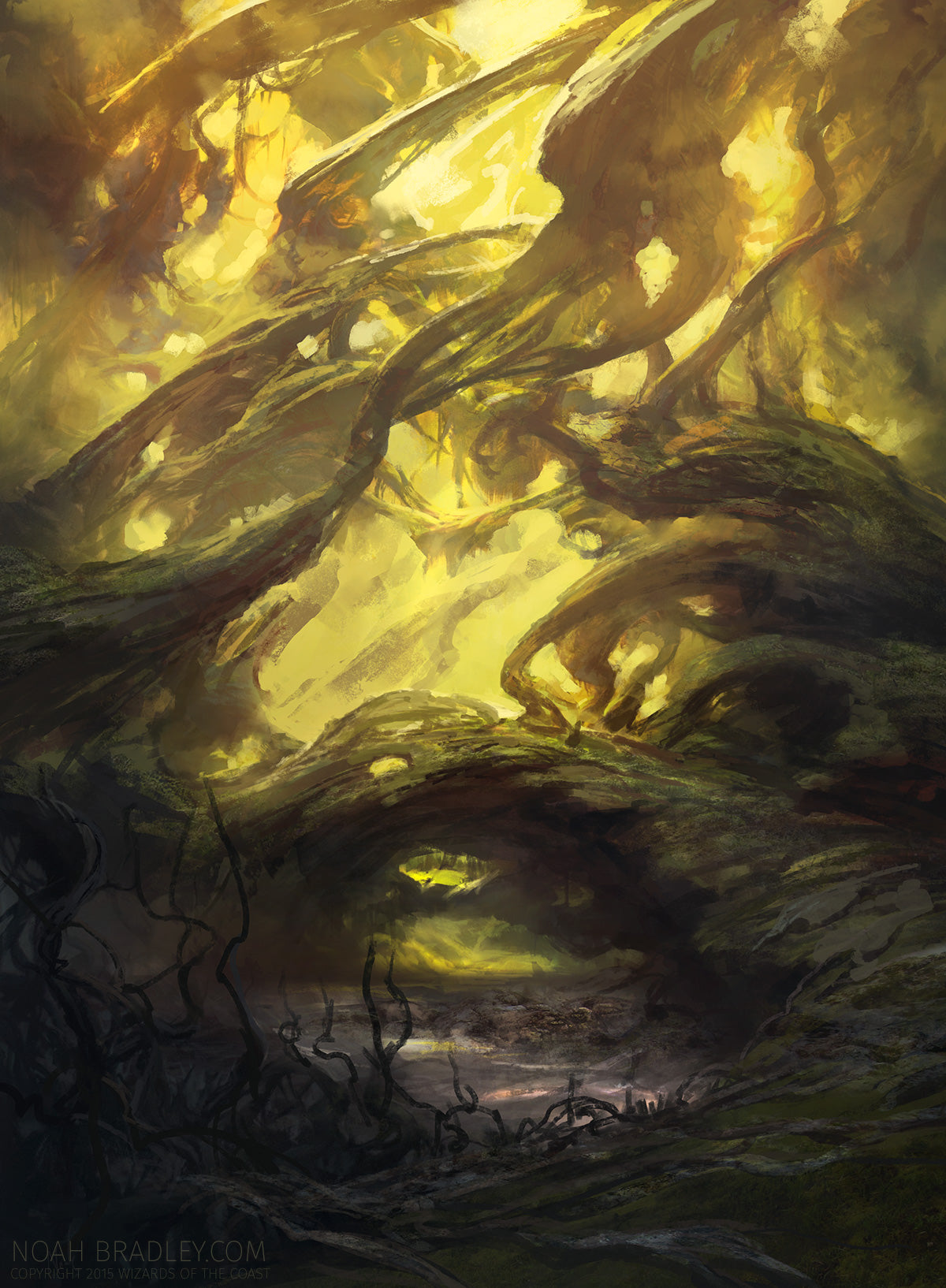 Swamp
