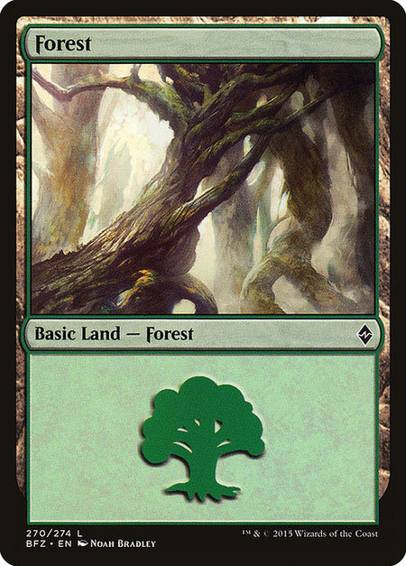 Forest (Battle for Zendikar) (Not-full-art version)