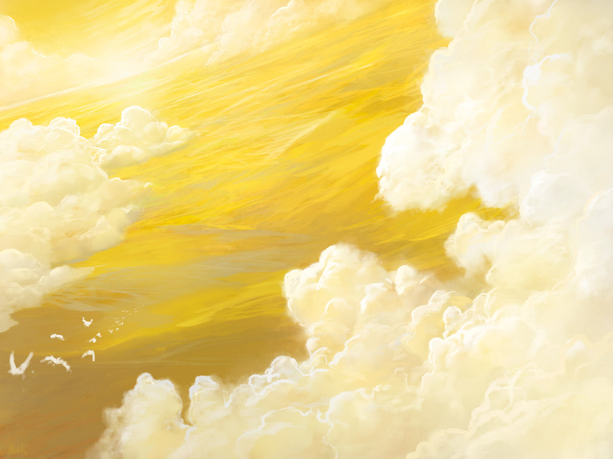 Plains (Magic 2013)