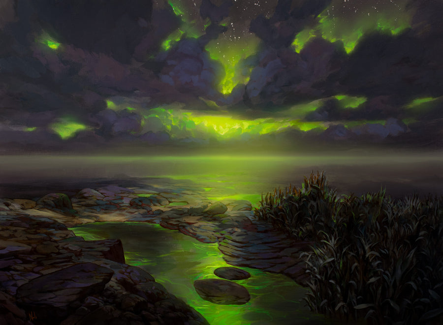 Barren Moor