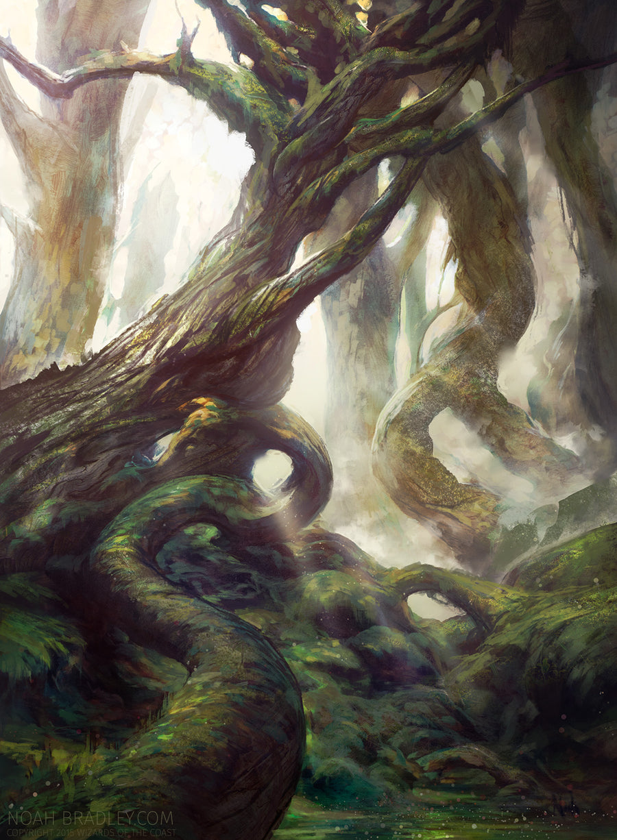 Forest