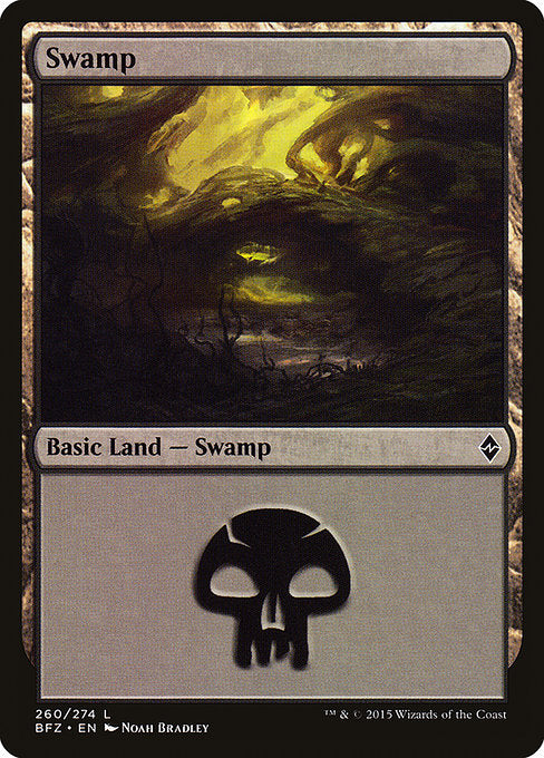 Swamp (Battle for Zendikar) (Not-full-art version)
