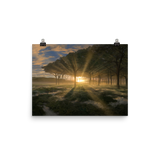 Horizon Canopy