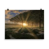 Horizon Canopy
