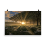 Horizon Canopy
