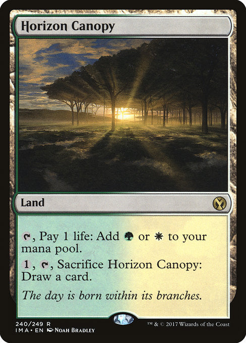 Horizon Canopy (Foil)