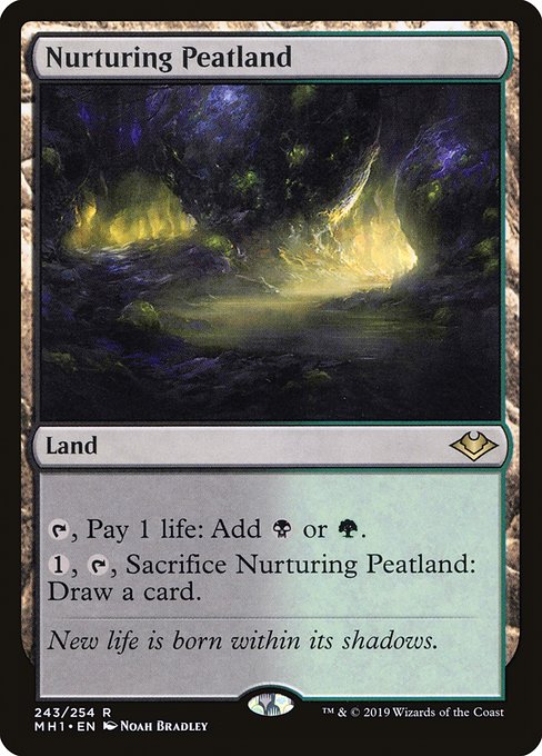 noah bradley mtg cards Nurturing Peatland (Foil) – Noah Bradley