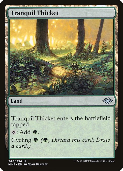 Tranquil Thicket (Foil)